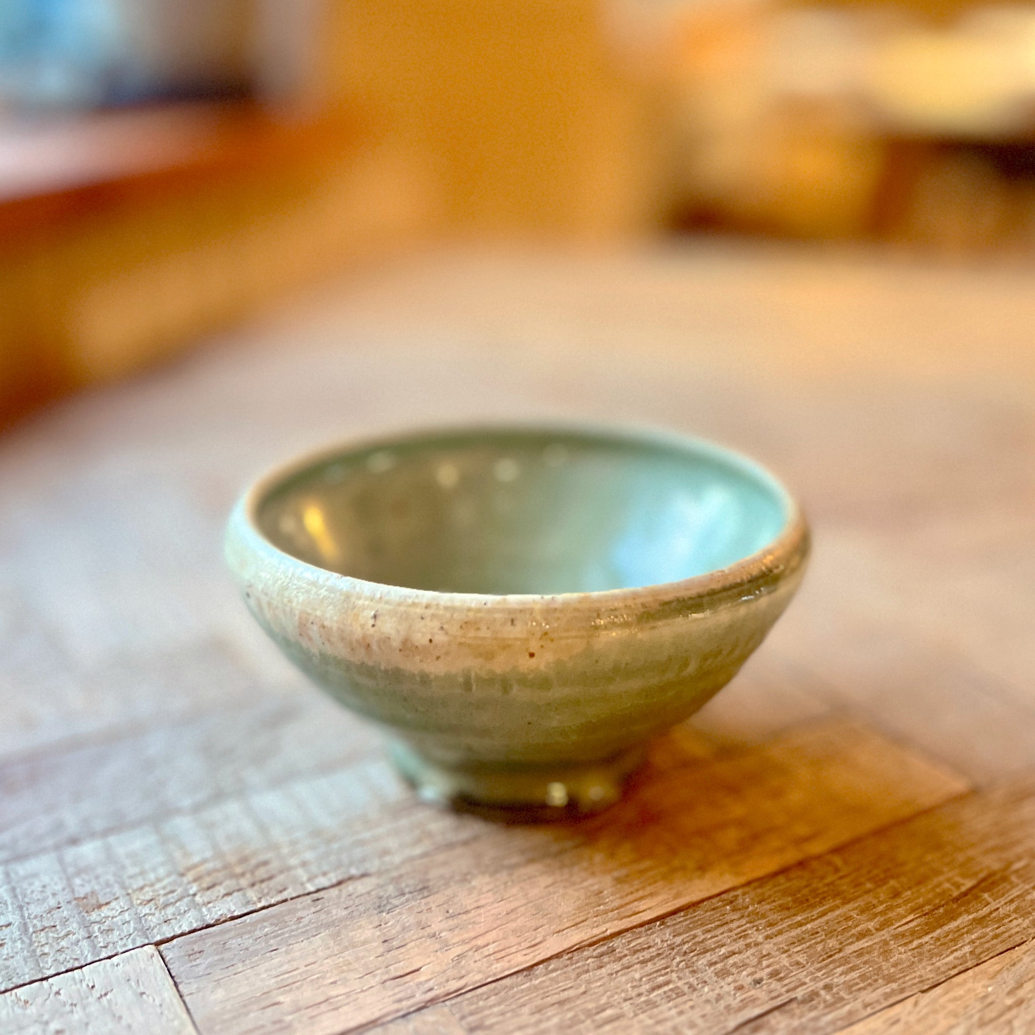お買い得！SALE！不揃い商品　輪花小鉢19個10cm位　Y 2025年 数量限定 葉桜】 京都小鉢（ミニ盆栽）京桜シリーズ 啓翁